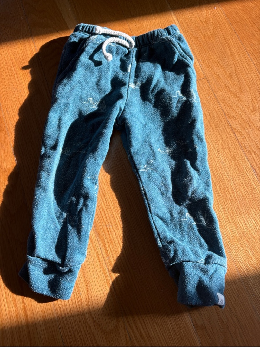 Kids Teal Joggers with Drawstring Waist